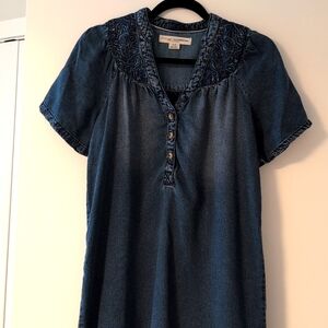 Anthropologie Pilcro Blue Buttoned Lyocell Mini Dress with Mandarin Collar Small